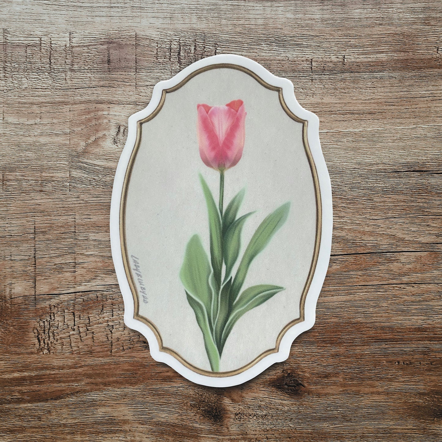 (flor) sticker | “Framed Tulip”