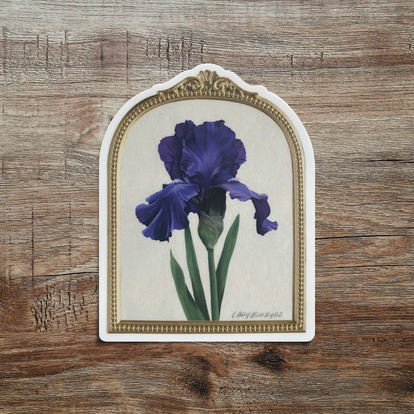 (flor) sticker | “Framed Iris”