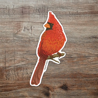 (aNat) sticker | "Northern Cardinal"